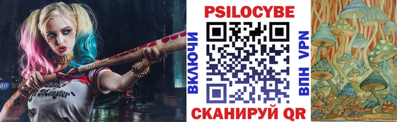 купить   Бор  OMG ссылки  Псилоцибиновые грибы Psilocybe 
